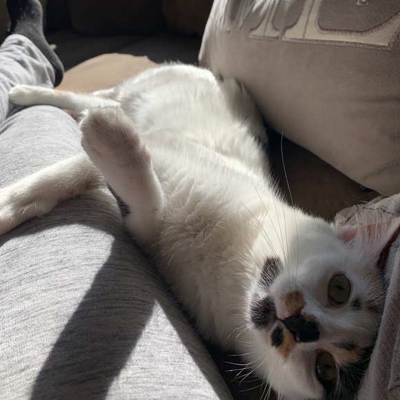 Meet your Posher, Stephanie - Picture 1 of 1